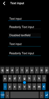 text input